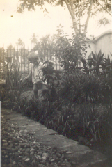 juli 36 wat is dat een mooi bloemetje